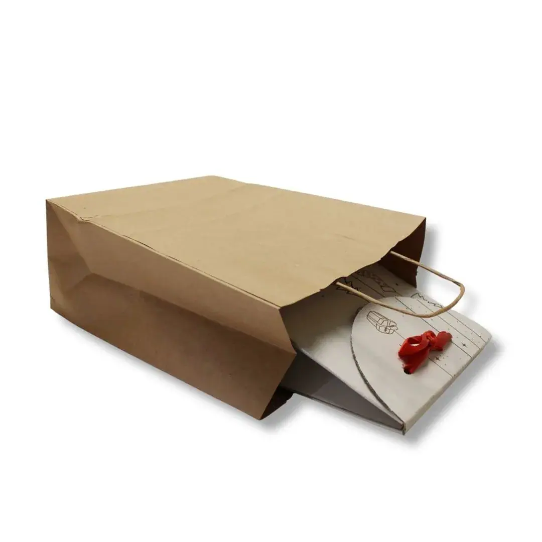 Burgu Saplı Kağıt Çanta 20x22+10 cm