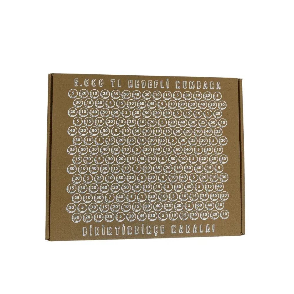 Karton Kumbara 5 Bin TL Hedefli 27,5x22,5x7,5 cm