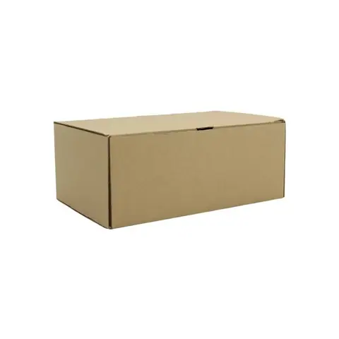 Kurmalı Kesimli Kargo Kutusu 25x16x10 cm